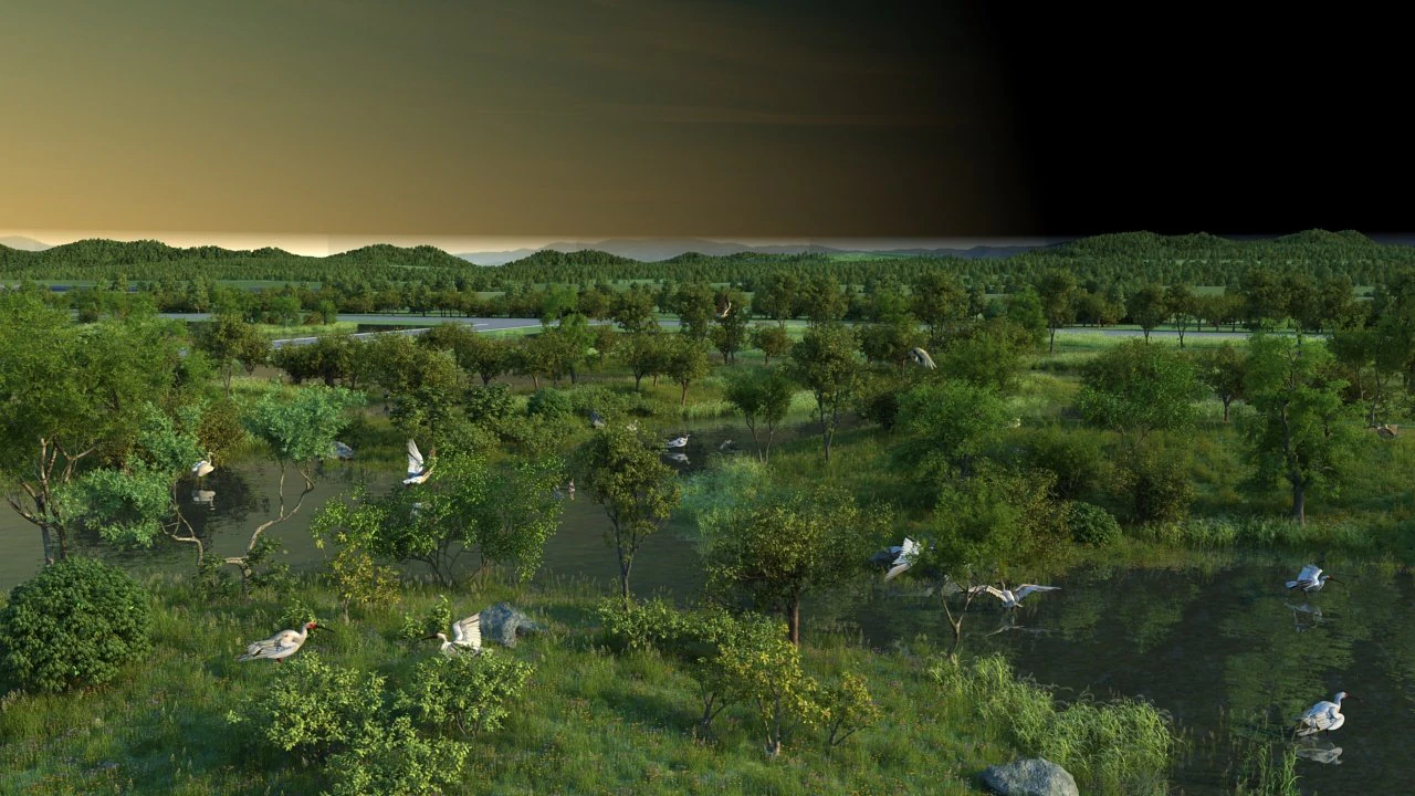 wetlands 3D Model .c4d .max .obj .3ds .fbx .stl .blend 