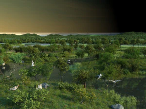 wetlands 3D Model