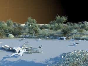wetlands 3D Model