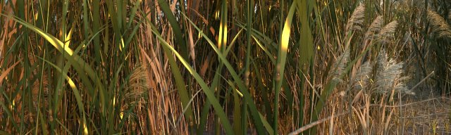 wetlands 3D 模型 .c4d .max .obj .3ds .fbx .stl .blend 