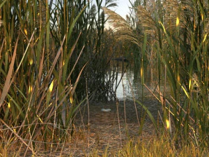 wetlands 3D Model