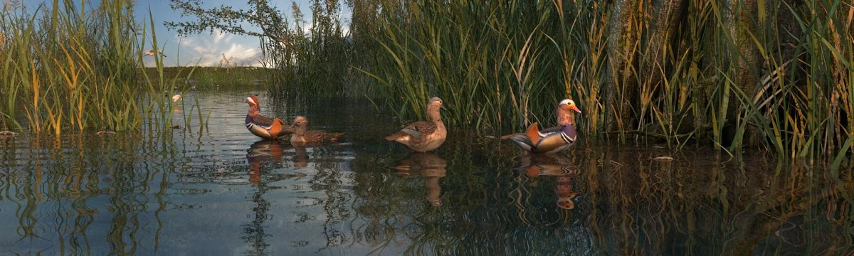 wetlands 3D Model .c4d .max .obj .3ds .fbx .stl .blend