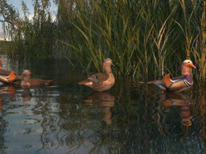 wetlands 3D Model