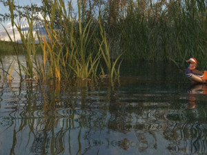wetlands 3Dモデル