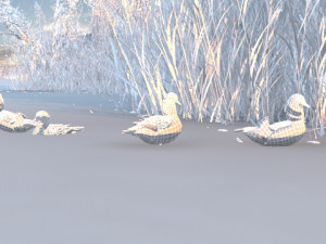 wetlands 3Dモデル