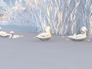wetlands 3D Model