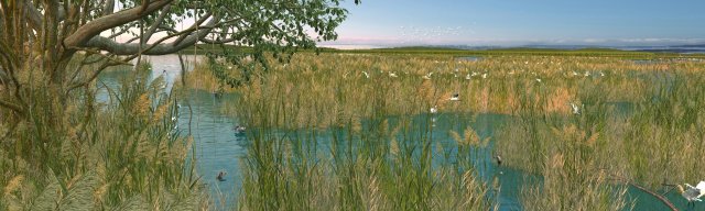 wetlands Modèle 3D .c4d .max .obj .3ds .fbx .stl .blend 