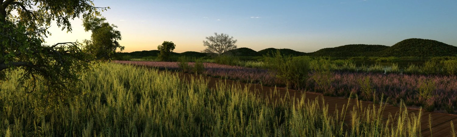 водно-болотные угодья 3D Модель .c4d .max .obj .3ds .fbx .stl .blend 