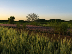 wetlands 3D Model