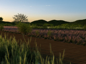 wetlands Model 3D
