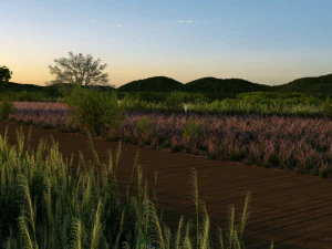 водно-болотные угодья 3D Модель