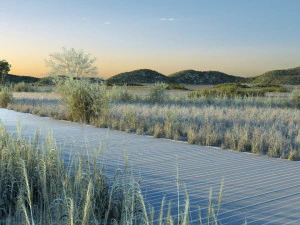 водно-болотные угодья 3D Модель