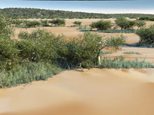 zone umide Modello 3D