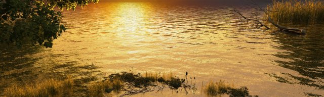 wetlands 3D Model .c4d .max .obj .3ds .fbx .stl .blend 