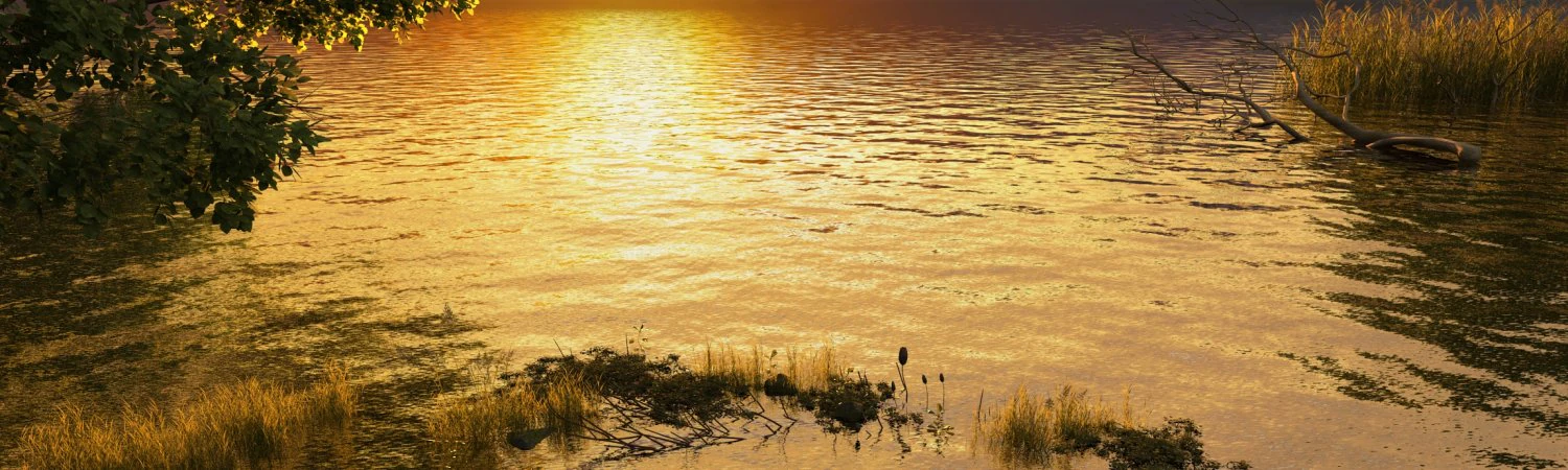 wetlands 3D Model .c4d .max .obj .3ds .fbx .stl .blend 
