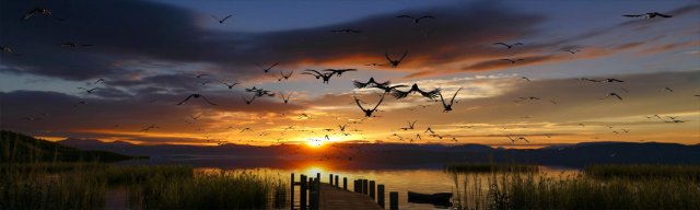 wetlands 3D 模型 .c4d .max .obj .3ds .fbx .stl .blend 