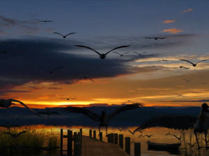 wetlands 3D 模型