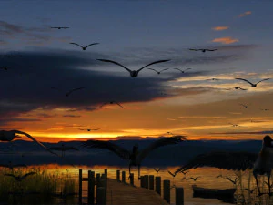 wetlands 3D Model