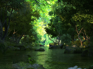 rainforest 3Dモデル