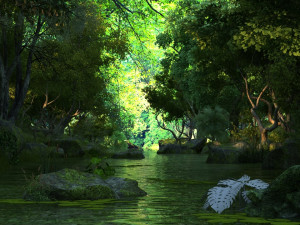 rainforest Model 3D