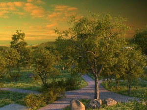 wetlands 3Dモデル