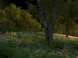 wetlands Model 3D