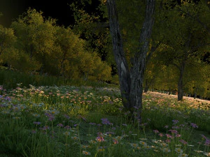 wetlands 3D Model