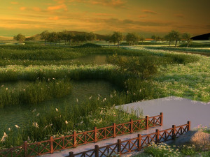 wetlands Model 3D