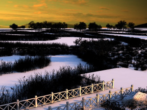 wetlands Model 3D