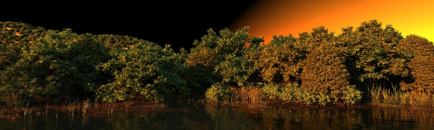 wetlands 3D Model .c4d .max .obj .3ds .fbx .stl .blend 