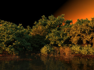 wetlands 3D Model