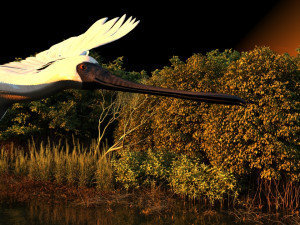 wetlands 3D 모델