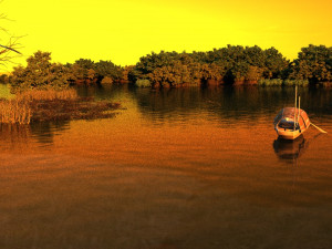 wetlands 3D 모델