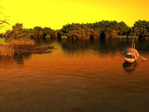 wetlands 3D Model