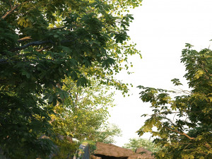mountain forest 3D 模型