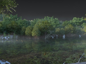 wetlands Modèle 3D