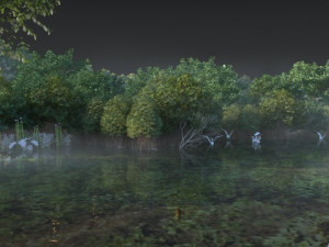 wetlands 3D Model