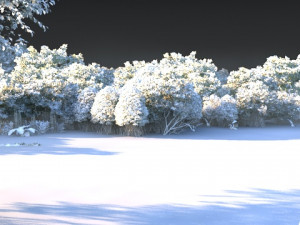wetlands 3D Model
