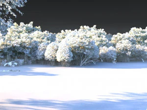 wetlands 3D Model