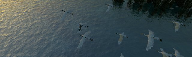 egret 3D 模型 .c4d .max .obj .3ds .fbx .stl .blend 