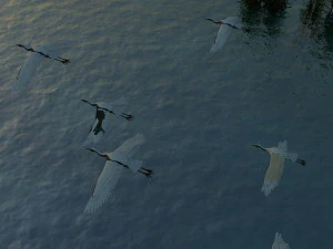 gar&ccedil;a Modelo 3D