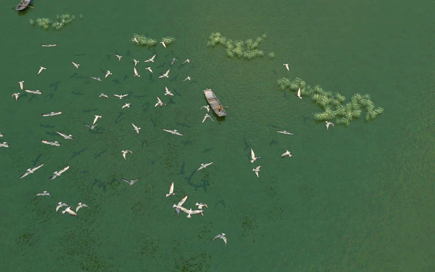 jinqiu lake 3D Model .c4d .max .obj .3ds .fbx .stl .blend 