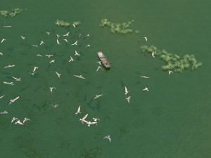 jinqiu lake 3D Model