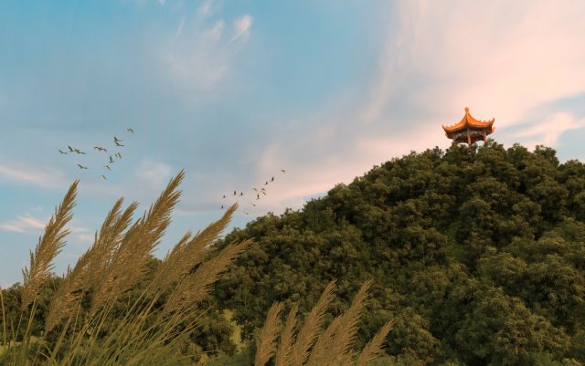 peak pavilion 3D Model .c4d .max .obj .3ds .fbx .stl .blend 
