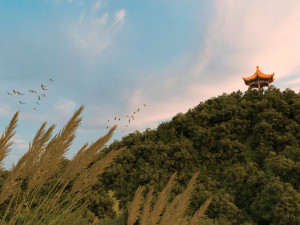 peak pavilion Modelo 3D