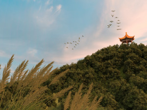 peak pavilion 3D Model