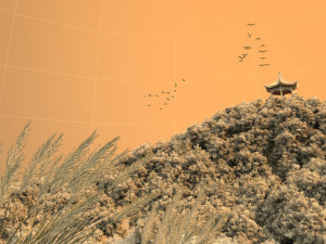 peak pavilion 3D Model