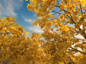 древний дом 3D Модель