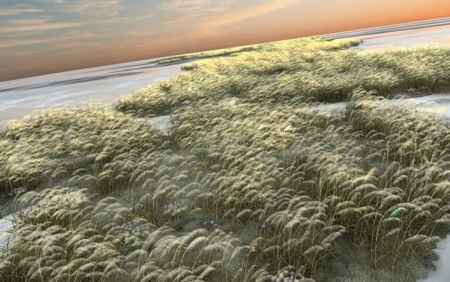 reed Model 3D .c4d .max .obj .3ds .fbx .stl .blend 