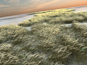 reed Modelo 3D